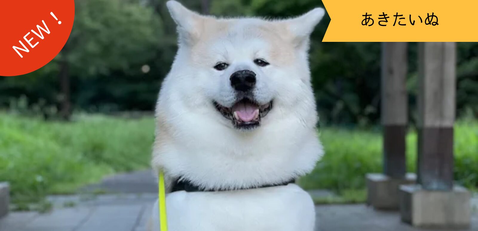 あきたいぬなかま ~YAMATOくん~