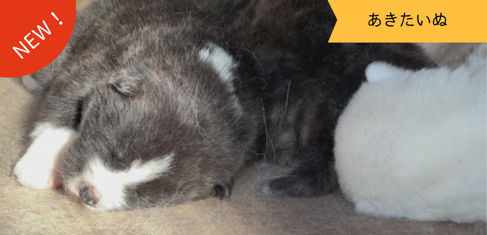 暖かな日差しに包まれて