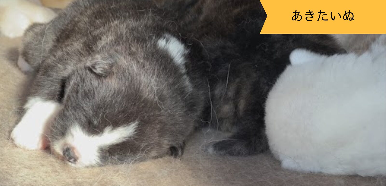 暖かな日差しに包まれて